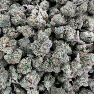 Blueberry Muffin THCa Flower strain profile for wholesale buyers.