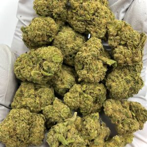 Gelato THCa Flower strain profile for wholesale cannabis buyers.