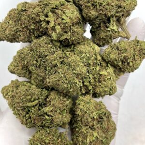 Ice Cream Cookies THCa Flower strain profile for wholesale buyers.