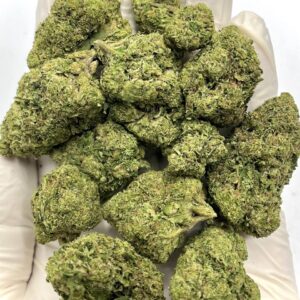 Lemon Cherry Gelato THCa Flower strain profile for wholesale cannabis buyers.