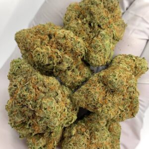 Sex Panther THCa Flower strain profile for wholesale cannabis buyers.