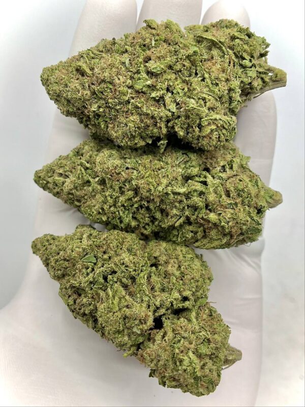 Skunk Candy THCa Flower strain profile for wholesale buyers.