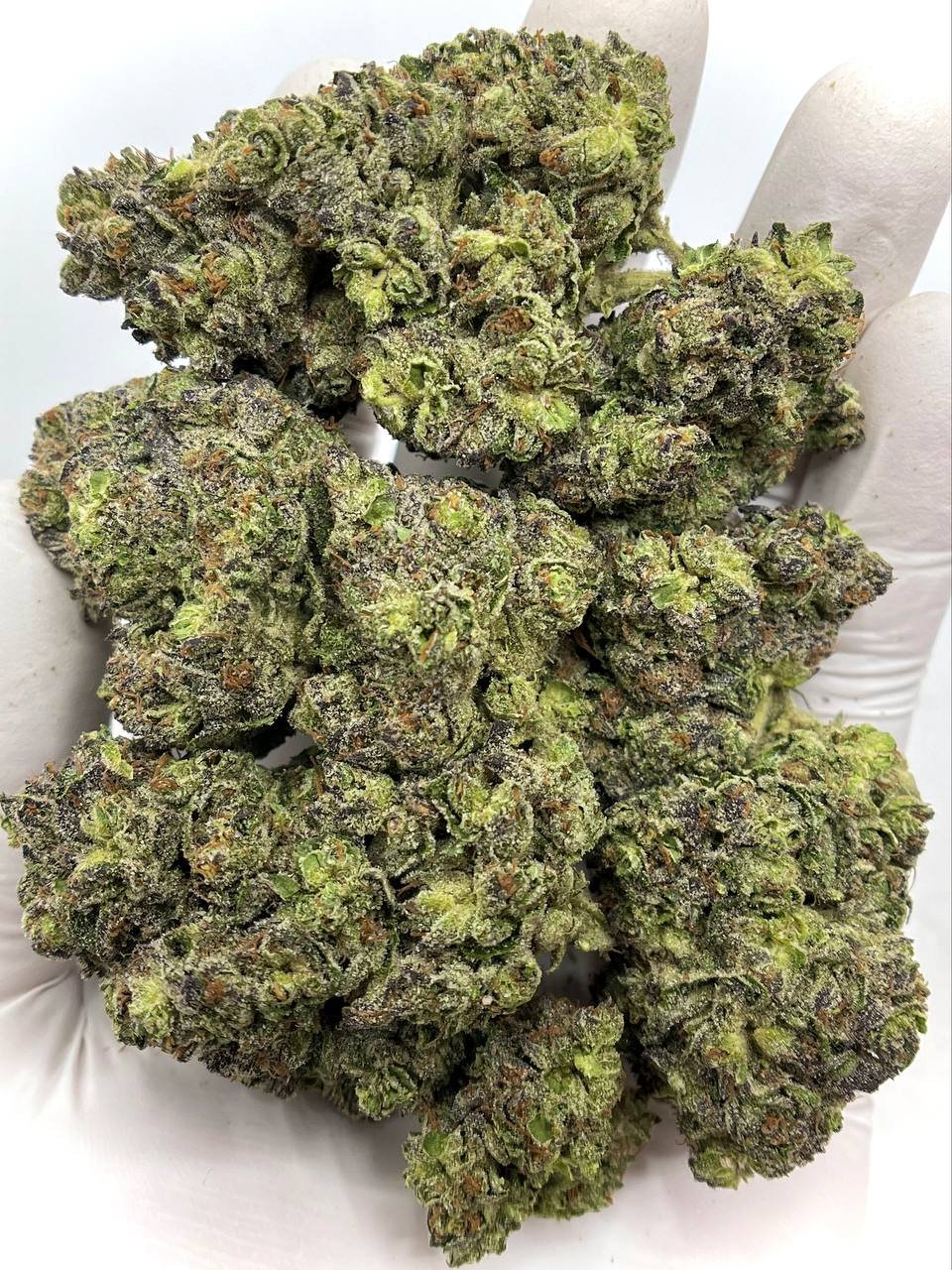 White Widow THCa Flower 1 White Widow THCa Flower wholesale strain profile.