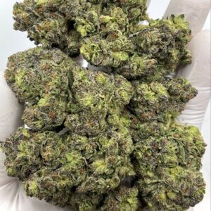 Buy Orange Cookies THCa Flower Wholesale - Premium Strain for Bulk Orders