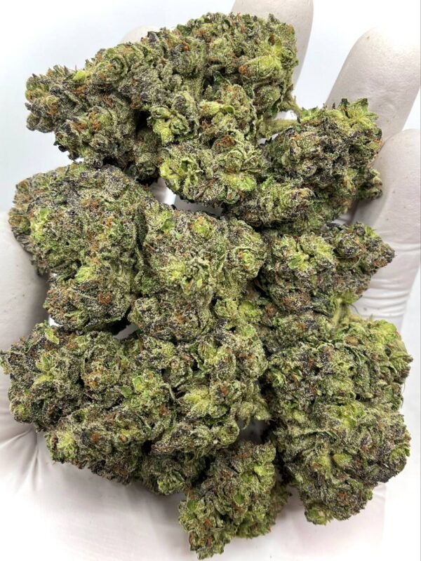 Buy Orange Cookies THCa Flower Wholesale - Premium Strain for Bulk Orders