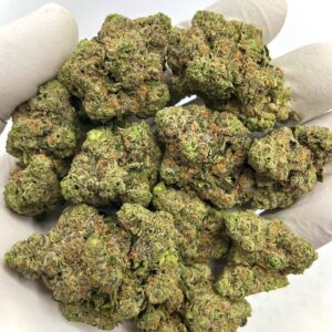 Durban Poison THCa Flower Wholesale - Premium Bulk Cannabis