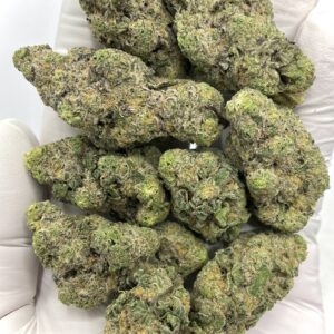 Garlic Cookies THCa Flower Wholesale- Premium Bulk Supply