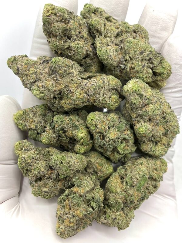 Garlic Cookies THCa Flower Wholesale- Premium Bulk Supply