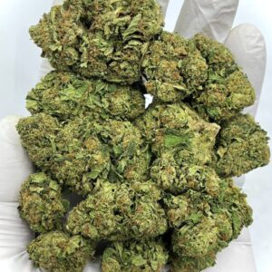 Gelato 41 THCa Flower – Premium Wholesale Strain for Bulk Buyers