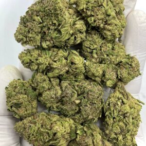 Grape Frosty THCa Flower strain profile for wholesale cannabis buyers.