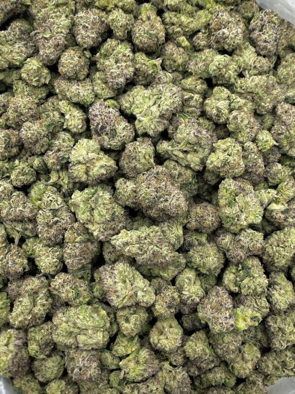 Obama Runtz THCa Flower – Premium Bulk Cannabis Wholesale Buyers