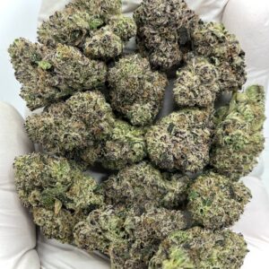 Obama Runtz THCa Flower – Premium Bulk Cannabis for Wholesale Buyers