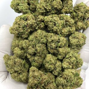 Platinum OG THCa Flower – Premium Bulk Wholesale Cannabis