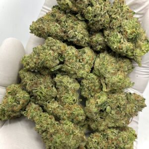 Premium Mac 1 THCa Flower Wholesale - High-Quality Bulk Supply