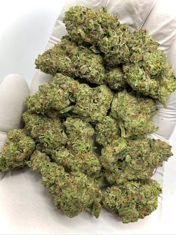 Premium Mac 1 THCa Flower Wholesale - High-Quality Bulk Supply