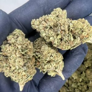 Blue Dream THCa Flower Wholesale - Premium Bulk Cannabis
