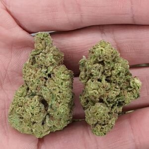 Buy Banana Punch THCa Flower Wholesale - Premium Bulk Cannabis