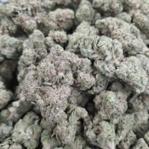 Buy Lemon Cello THCa Flower Wholesale - Premium Bulk Cannabis