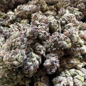 Tropicana Cherry THCa Flower Wholesale - Premium Bulk Cannabis