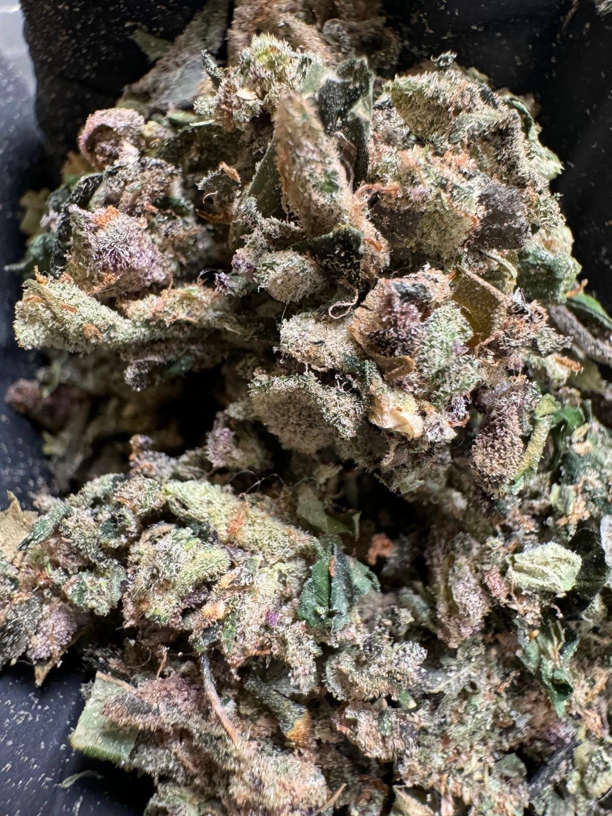 Bulk THCa Trim 1 Premium Bulk THCa Trim for wholesale buyers – lab-tested and versatile.