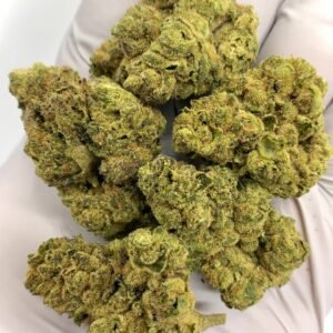 Celtic Cream THCa Flower - Premium THCa Strain for Wholesale Buyers