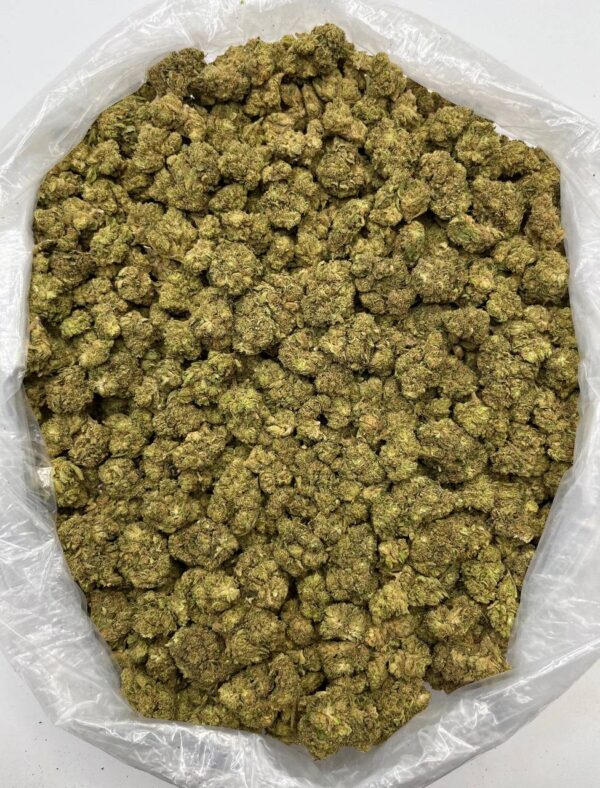 Bulk packaging of Acapulco Haze THCa Flower ready for wholesale distribution