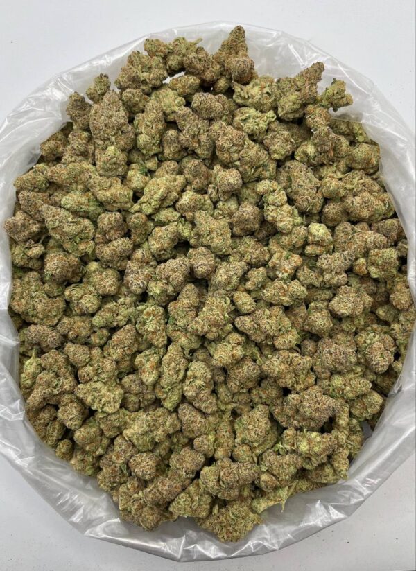 Bulk packaging of Glitter Bomb THCa Flower ready for wholesale distribution