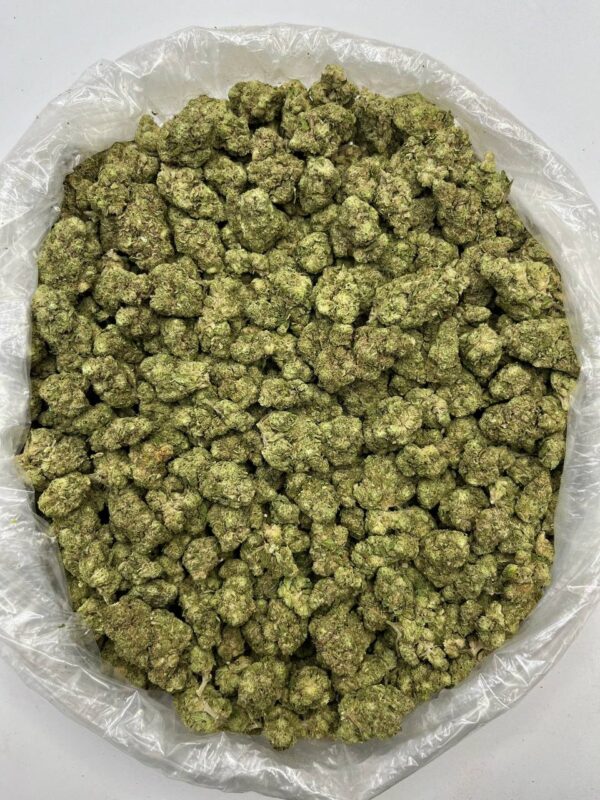 Bulk packaging of Hashburger THCa Flower ready for wholesale distribution