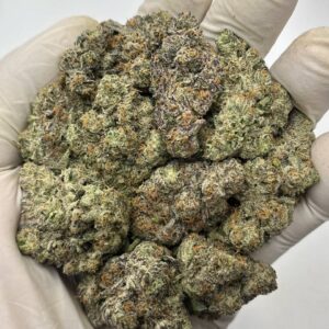 Close-up of Amaretto Mintz THCa Flower buds showcasing deep purple hues and frosty trichomes