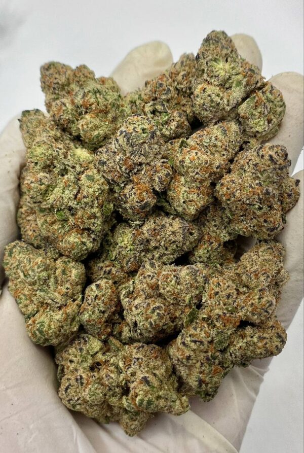 Close-up of Glitter Bomb THCa Flower buds showcasing dense trichomes