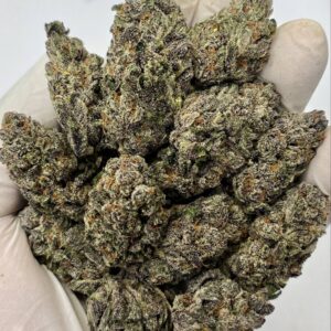 Close-up of Kept Secret THCa Flower buds showcasing dense trichomes