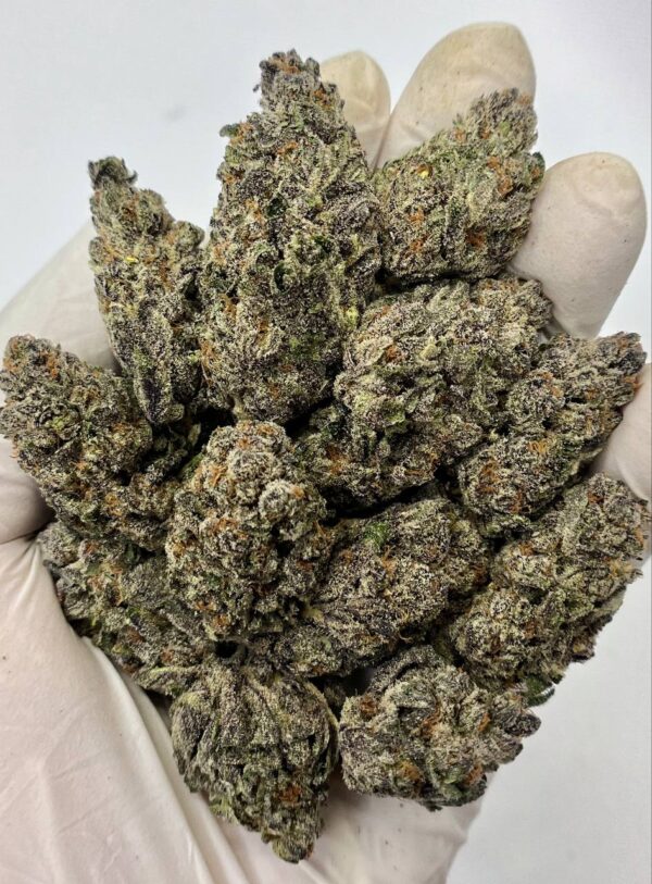 Close-up of Kept Secret THCa Flower buds showcasing dense trichomes