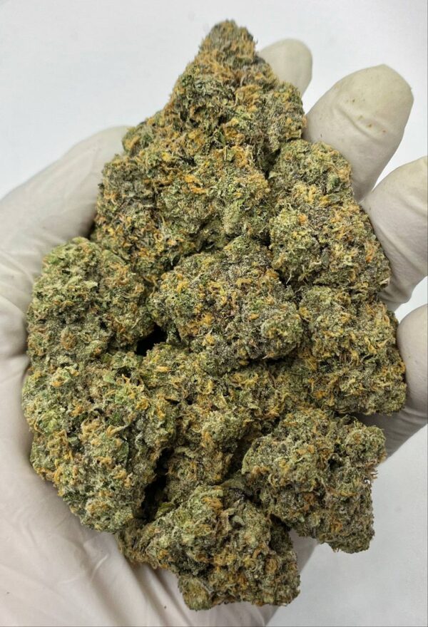Close-up of Lemon Cherry Sherbet THCa Flower buds showcasing vibrant colors and trichomes