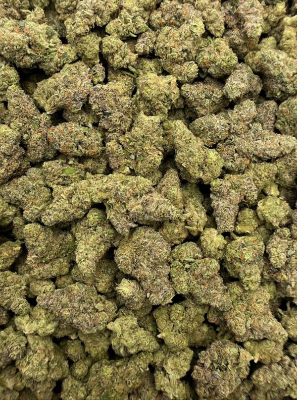 Close-up of Tangerine Dream indoor-grown THCa flower showing orange hairs and trichome frost