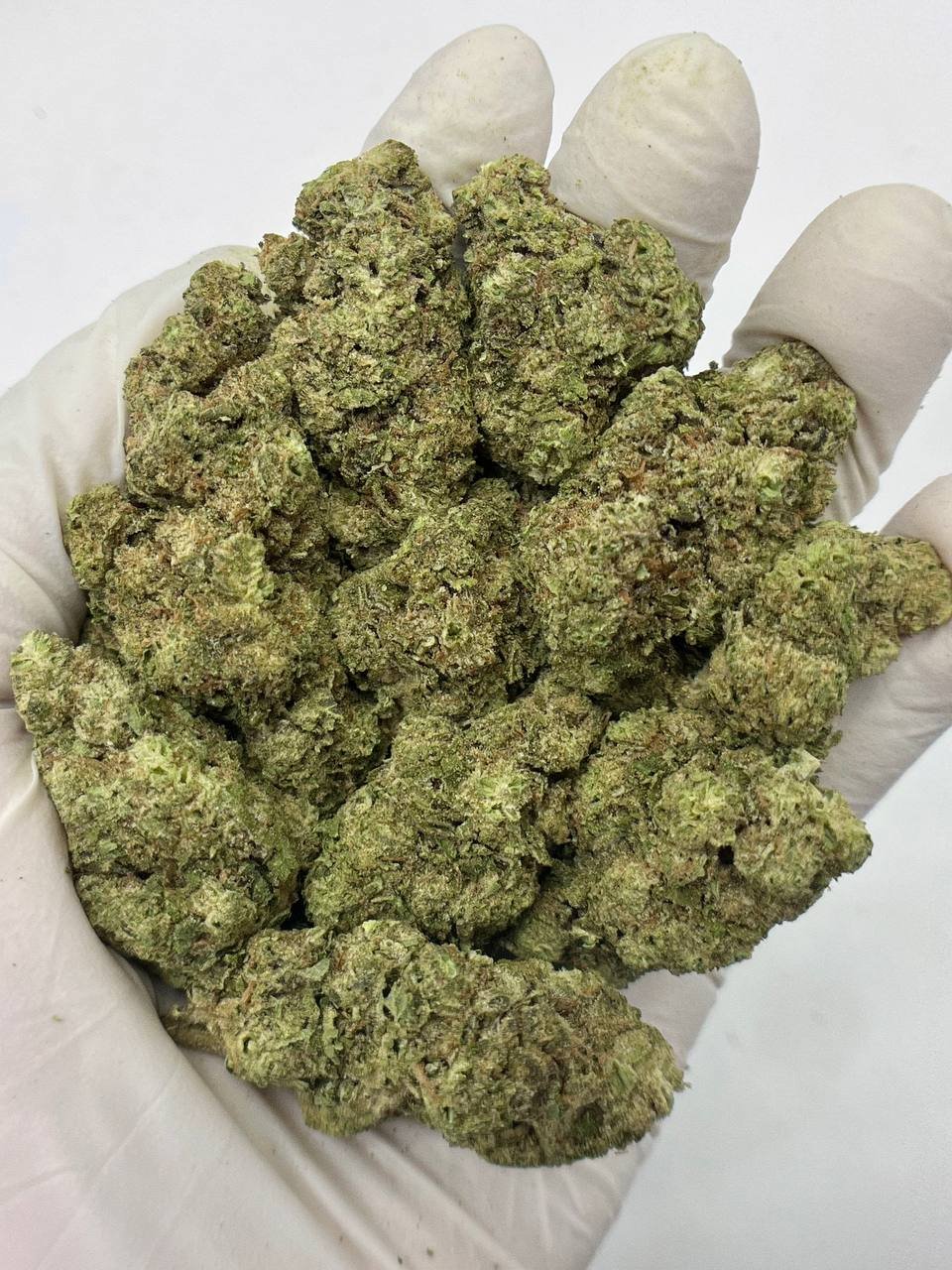 Hashburger THCa Flower 1 Close-up of dense Hashburger THCa Flower buds showcasing trichomes