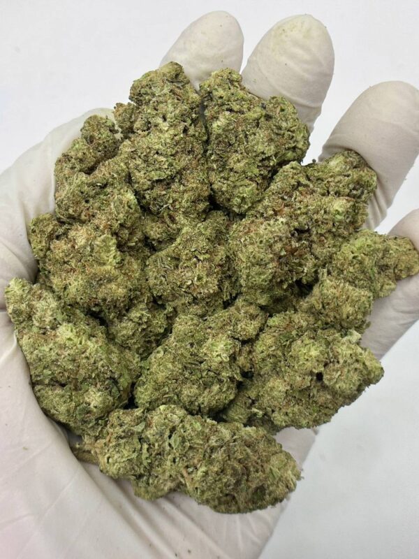 Close-up of dense Hashburger THCa Flower buds showcasing trichomes