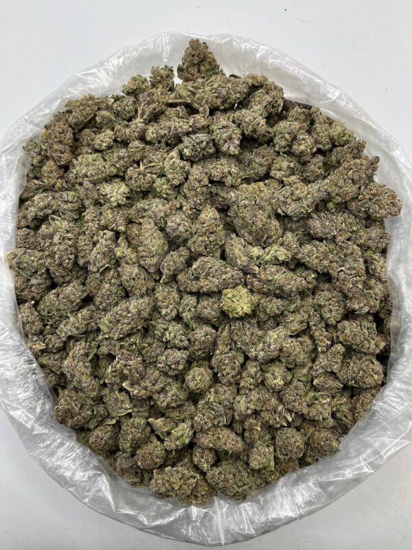 Kept Secret THCa Flower in bulk packaging ready for wholesale distribution