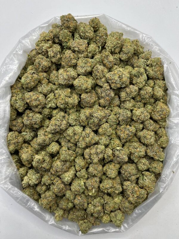 Lemon Cherry Sherbet THCa Flower in bulk packaging ready for wholesale distribution