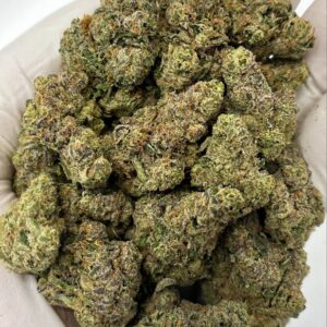 Tangerine Dream THCa flower buds in bulk packaging with citrus aroma profile