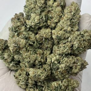 Close-up of Gas Runtz THCa Flower buds showcasing dense trichomes