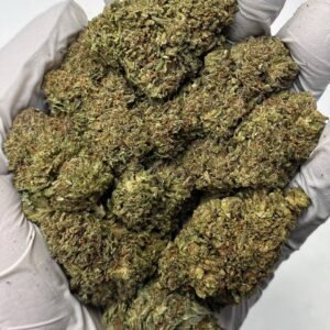 Bubba Kush THCa Flower frosty dark green buds with purple hints
