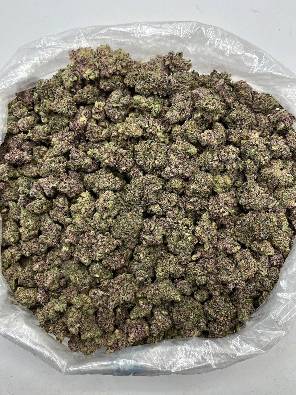 Rainbow Zangria THCa Flower 2 Bulk Rainbow Zangria THCa Flower packaged for wholesale distribution