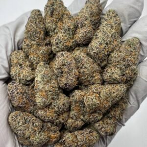 Close-up of frosty Grape Gas THCa Flower buds showing dense trichomes and purple hues.