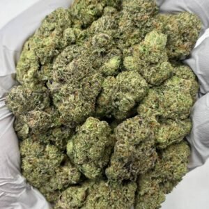 Donny Burger THCa Flower gassy trichome-coated buds