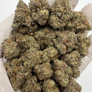 Gary Payton THCa Flower dense green buds with white frost and orange hairs