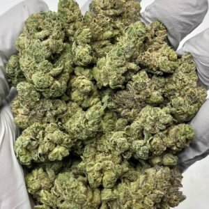Gorilla Glue THCa Flower sticky trichome-covered buds in close-up