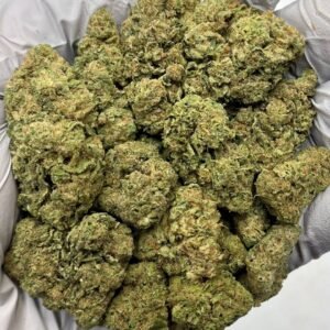 Hood Candyz THCa Flower frosty trichomes and purple-green coloration