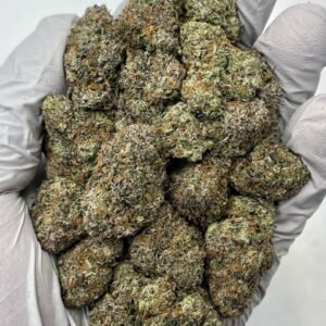 Jealousy THCa Flower buds with frosty trichomes and purple-green hues