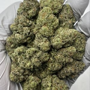 Krunch Berriez THCa Flower purple frosty buds with orange hairs