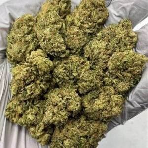 Pave THCa Flower close-up showing frosty trichomes and dense structure
